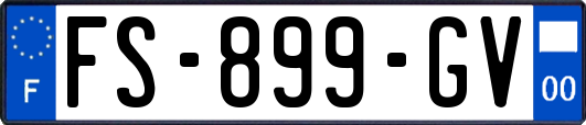 FS-899-GV