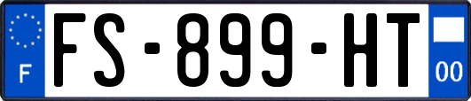FS-899-HT