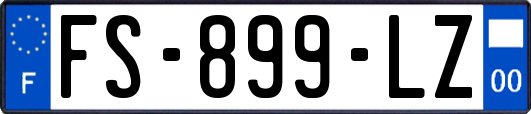 FS-899-LZ