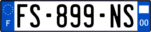 FS-899-NS