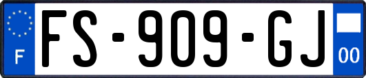 FS-909-GJ