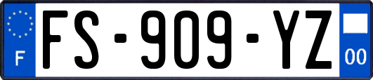 FS-909-YZ