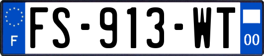 FS-913-WT
