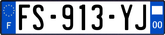 FS-913-YJ
