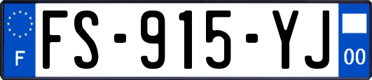 FS-915-YJ