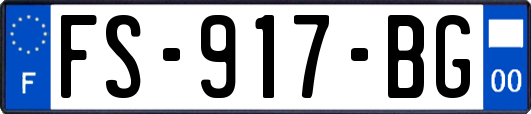 FS-917-BG