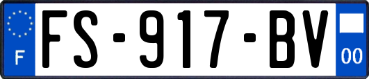 FS-917-BV