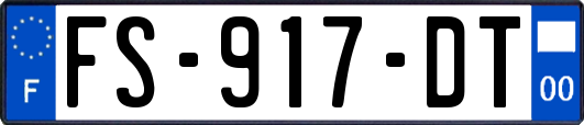 FS-917-DT