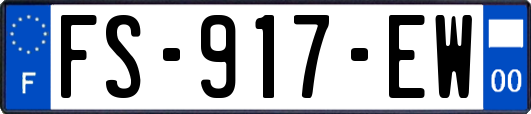 FS-917-EW