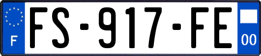 FS-917-FE