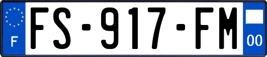 FS-917-FM