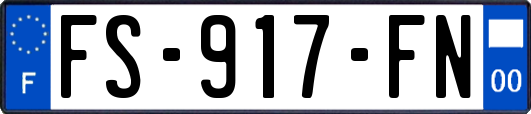 FS-917-FN