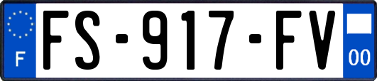 FS-917-FV