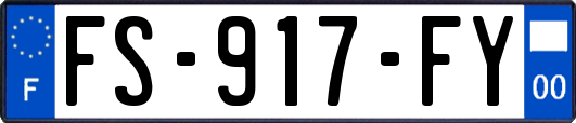 FS-917-FY