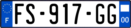 FS-917-GG