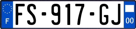 FS-917-GJ