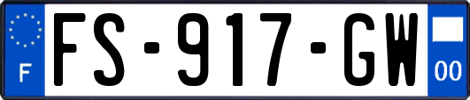 FS-917-GW