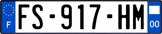 FS-917-HM