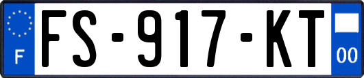 FS-917-KT