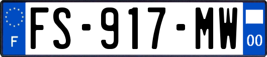 FS-917-MW