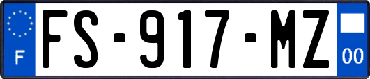 FS-917-MZ