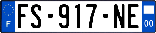 FS-917-NE