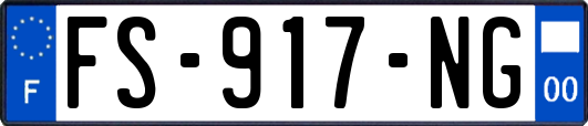 FS-917-NG