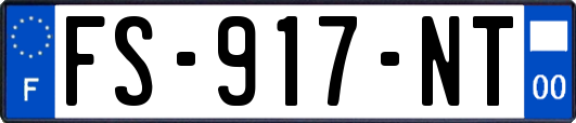 FS-917-NT