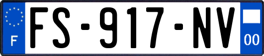 FS-917-NV