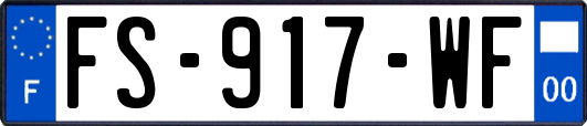 FS-917-WF