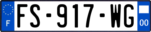 FS-917-WG