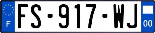 FS-917-WJ
