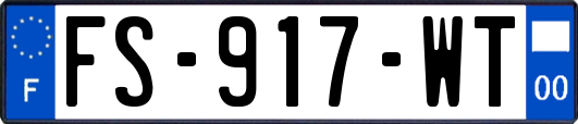 FS-917-WT