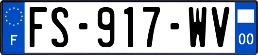 FS-917-WV