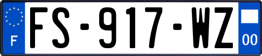 FS-917-WZ