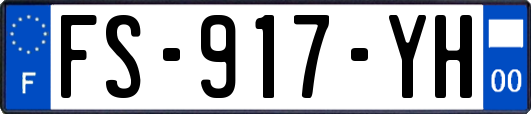 FS-917-YH