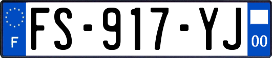 FS-917-YJ