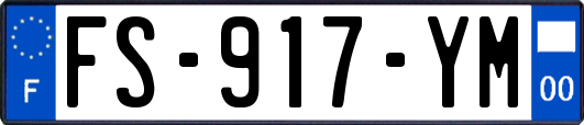 FS-917-YM