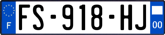 FS-918-HJ