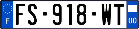 FS-918-WT
