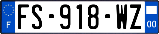 FS-918-WZ