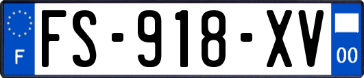 FS-918-XV