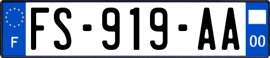 FS-919-AA