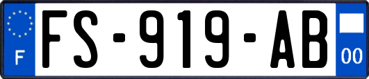 FS-919-AB