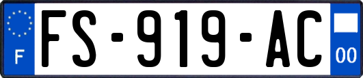 FS-919-AC