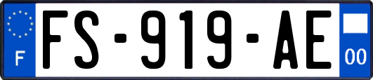 FS-919-AE