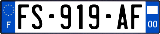 FS-919-AF