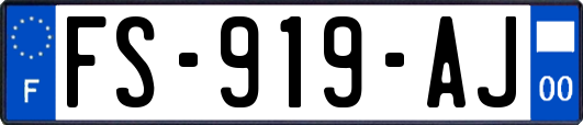 FS-919-AJ