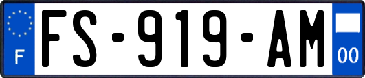 FS-919-AM