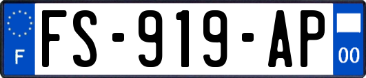 FS-919-AP